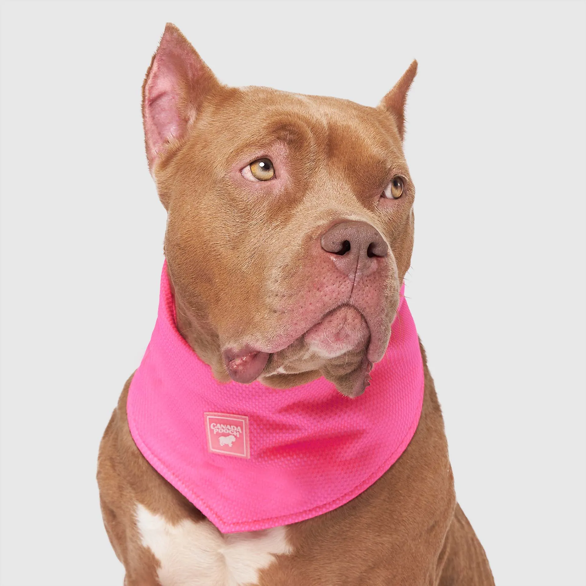Cooling Bandana