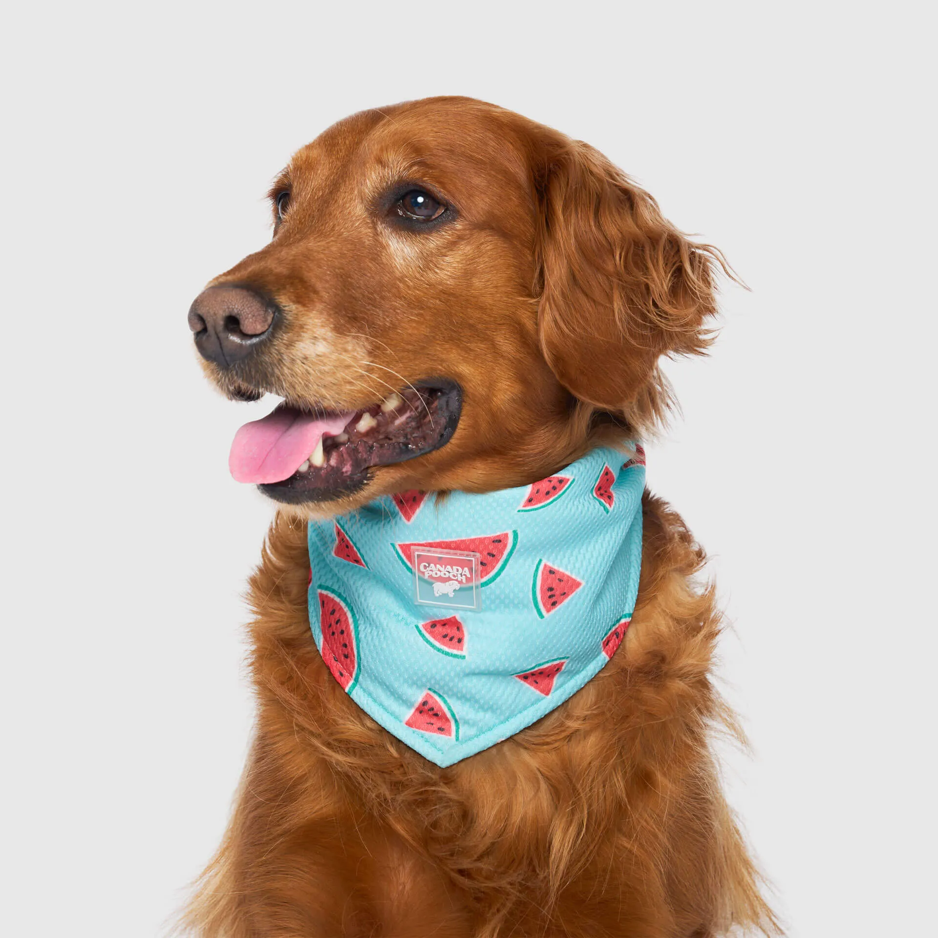 Cooling Bandana