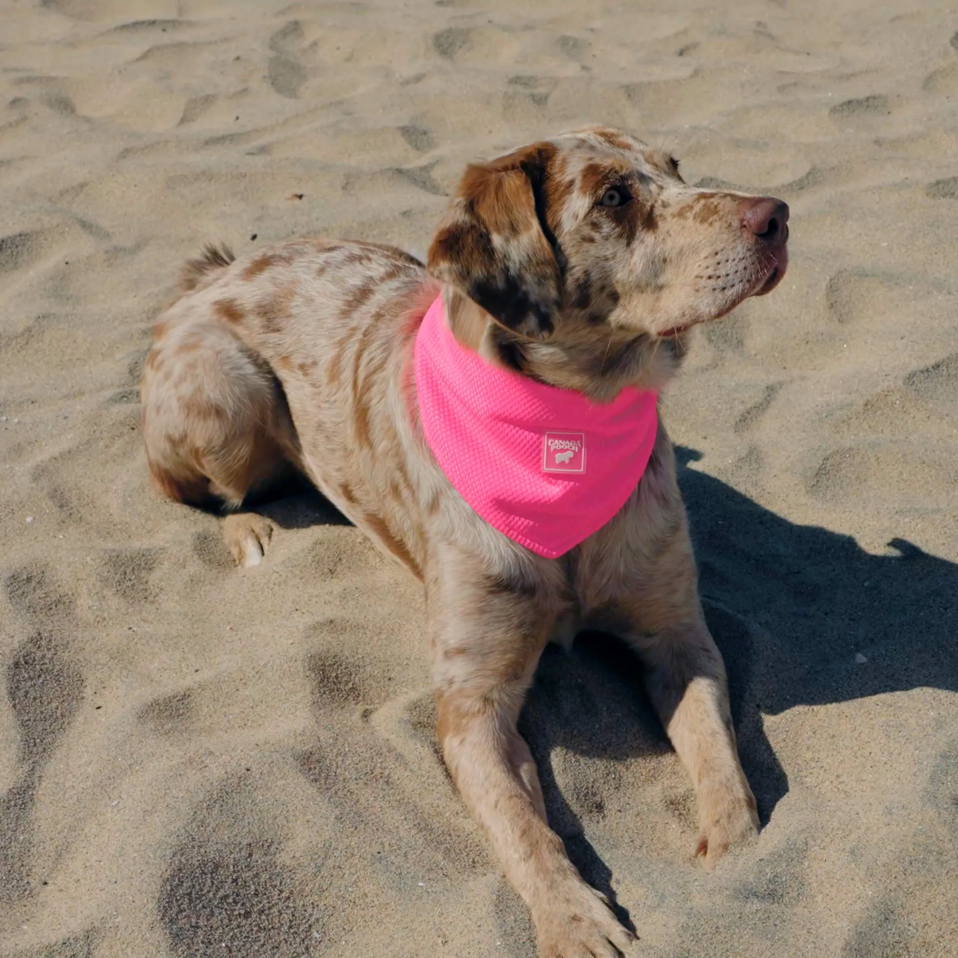 Cooling Bandana