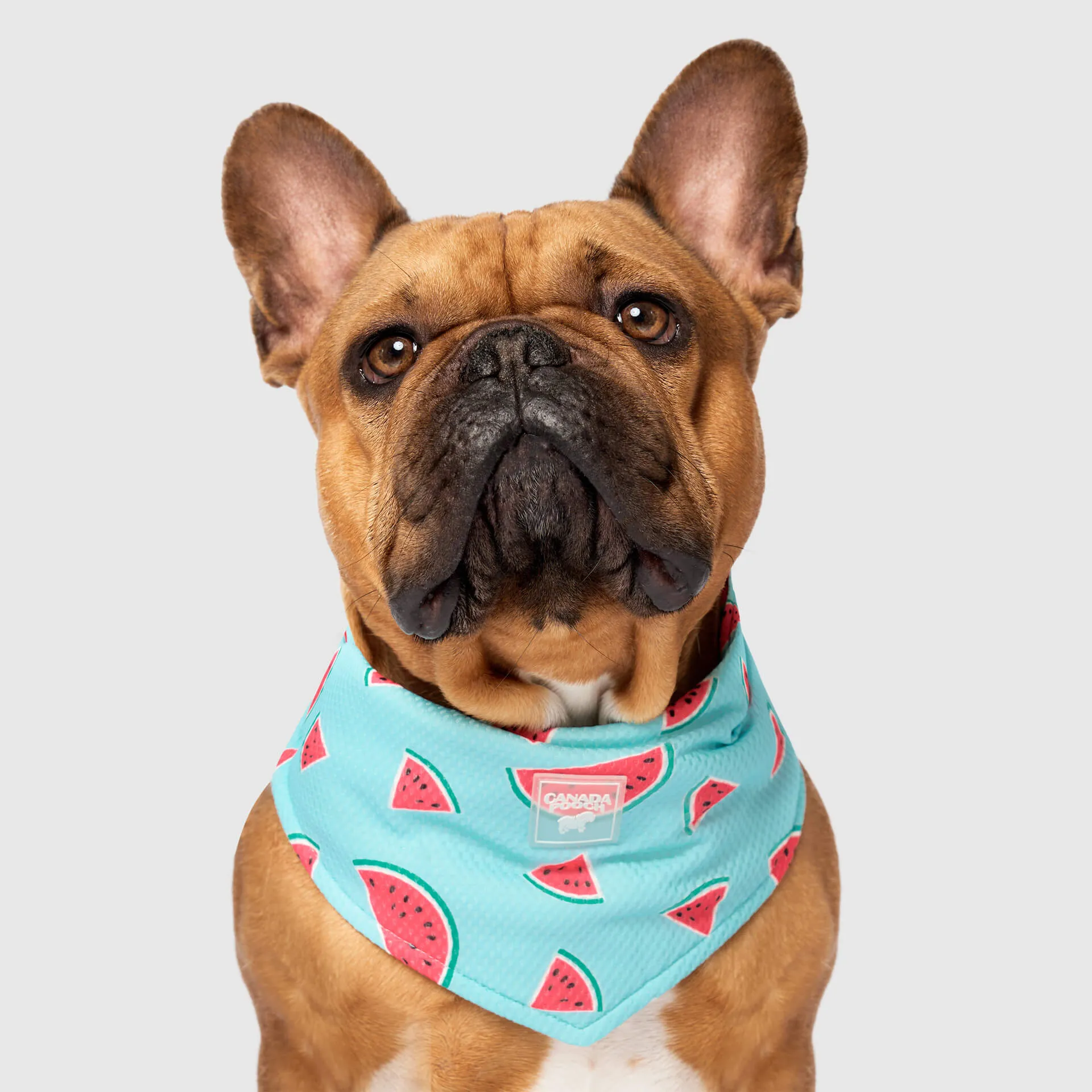 Cooling Bandana