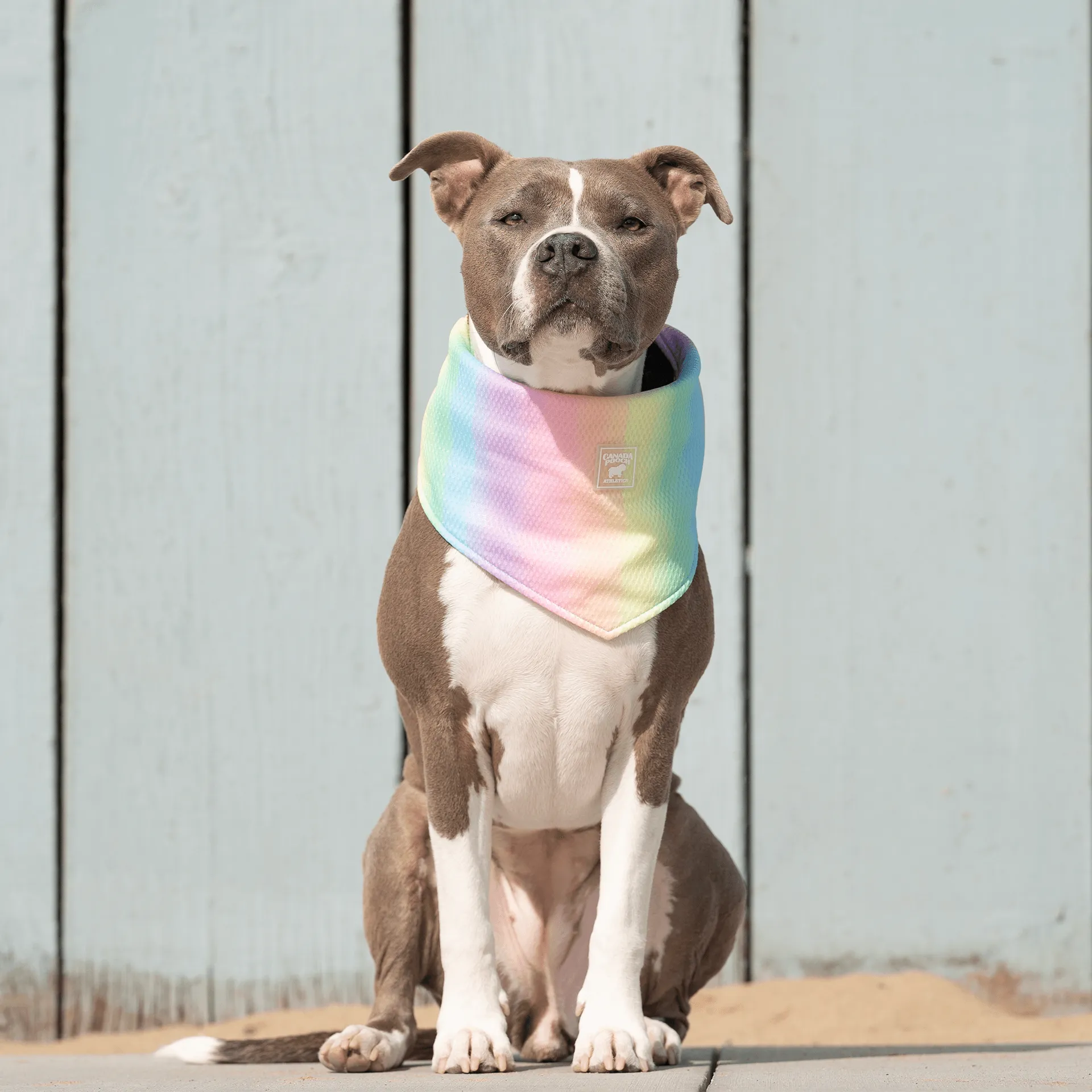 Cooling Bandana