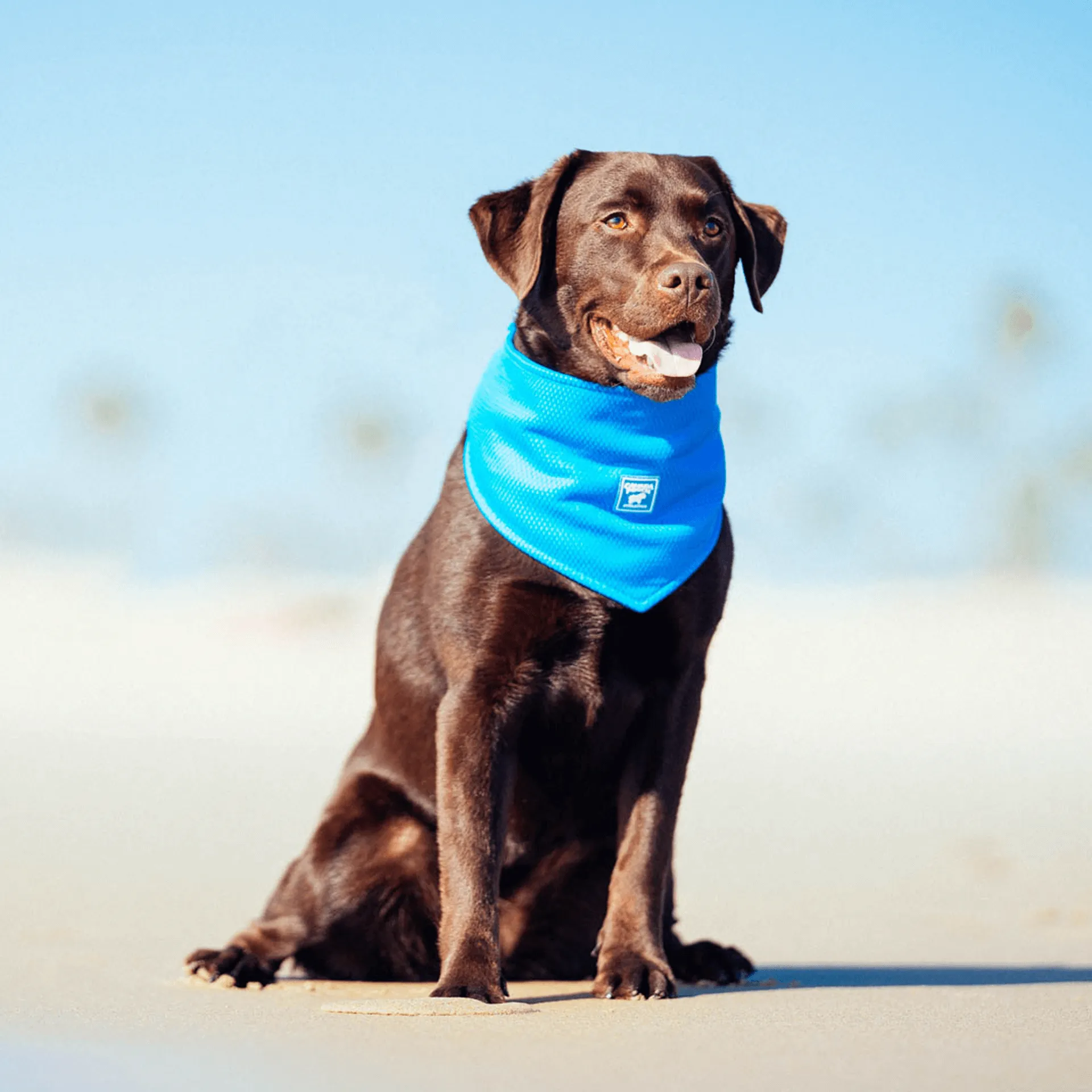 Cooling Bandana