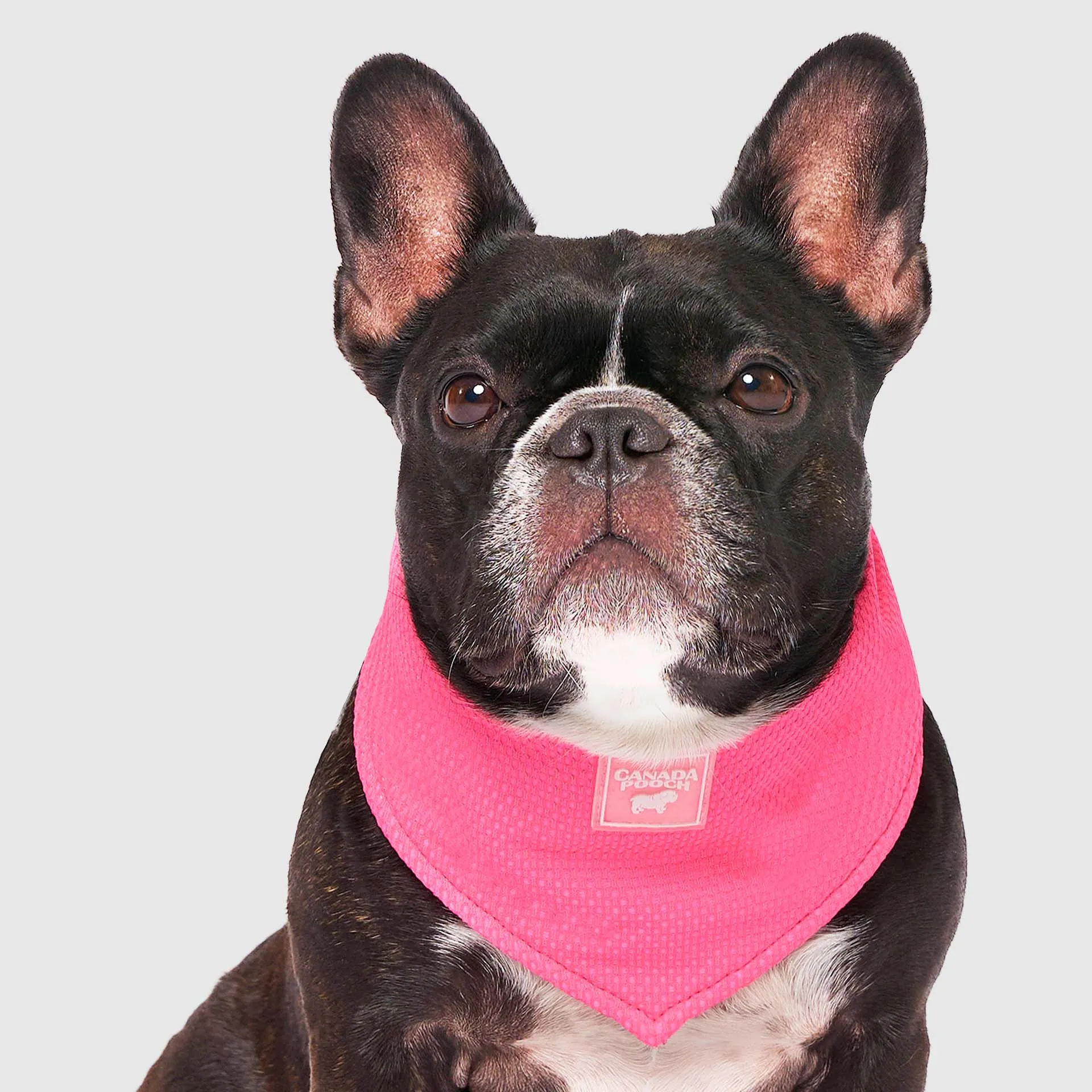 Cooling Bandana