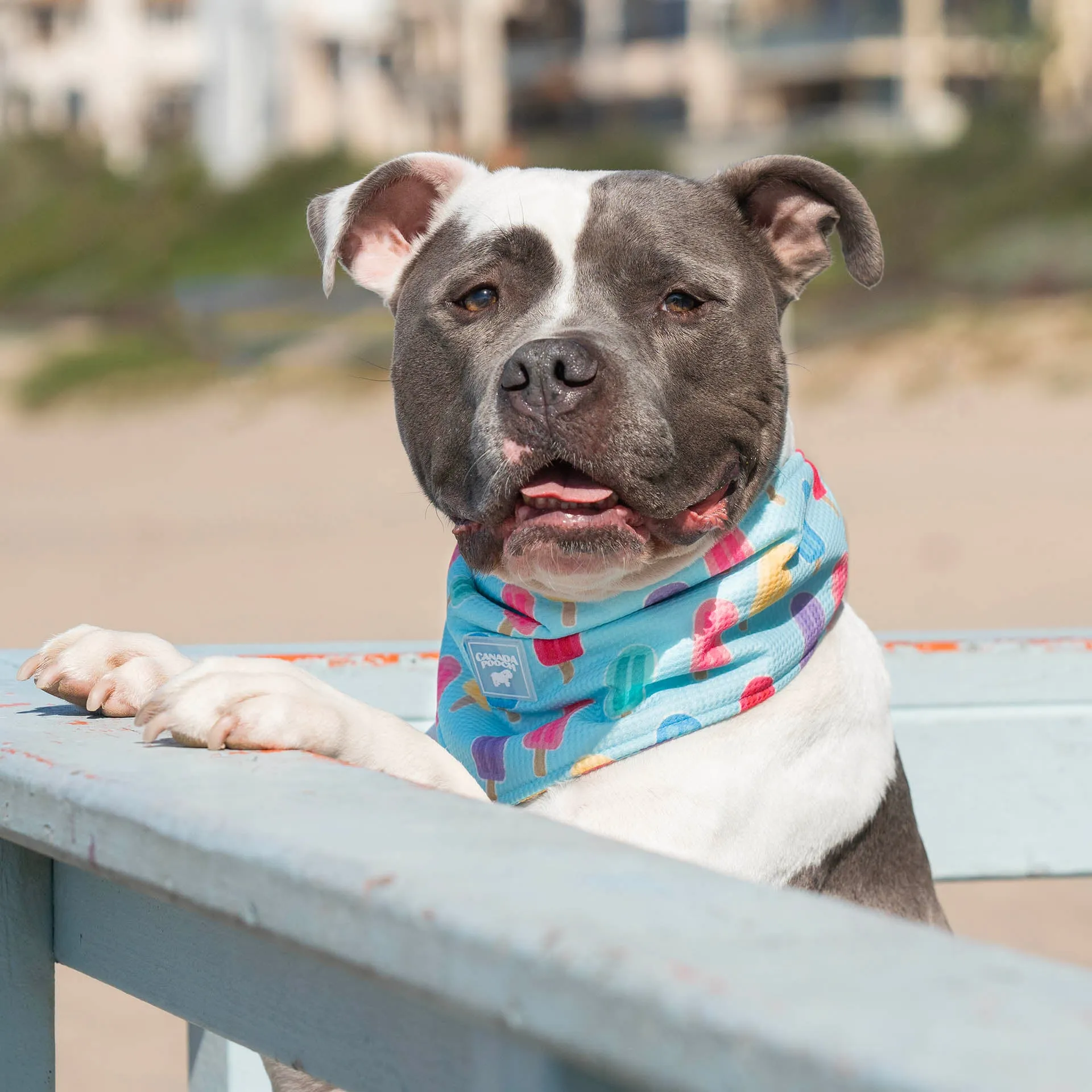 Cooling Bandana