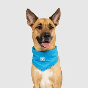 Cooling Bandana