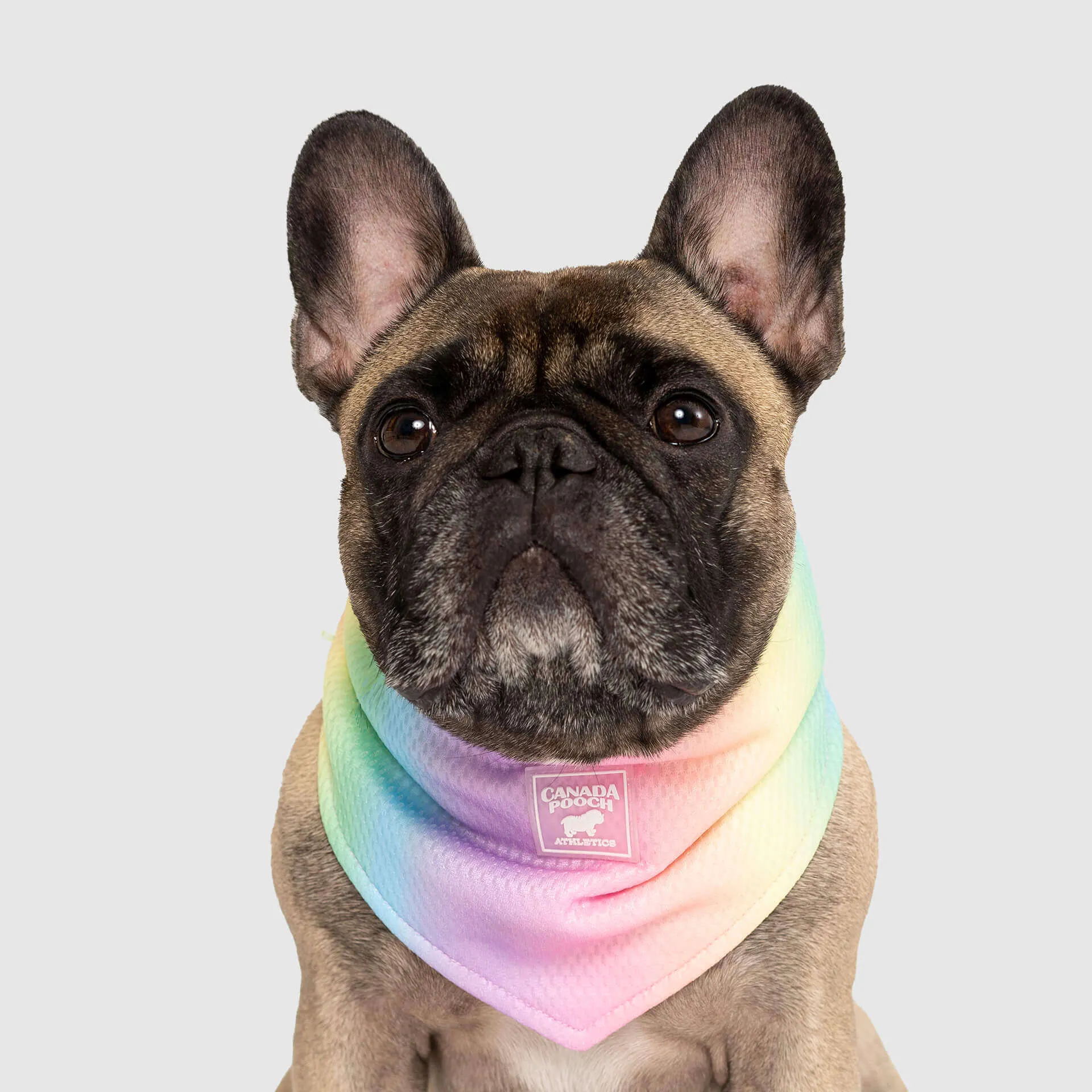 Cooling Bandana