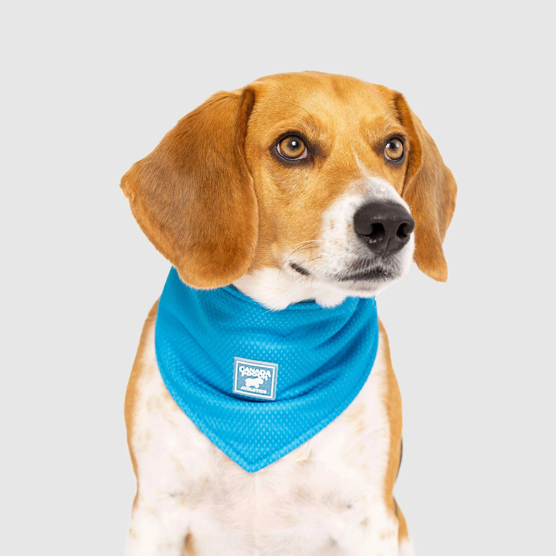 Cooling Bandana
