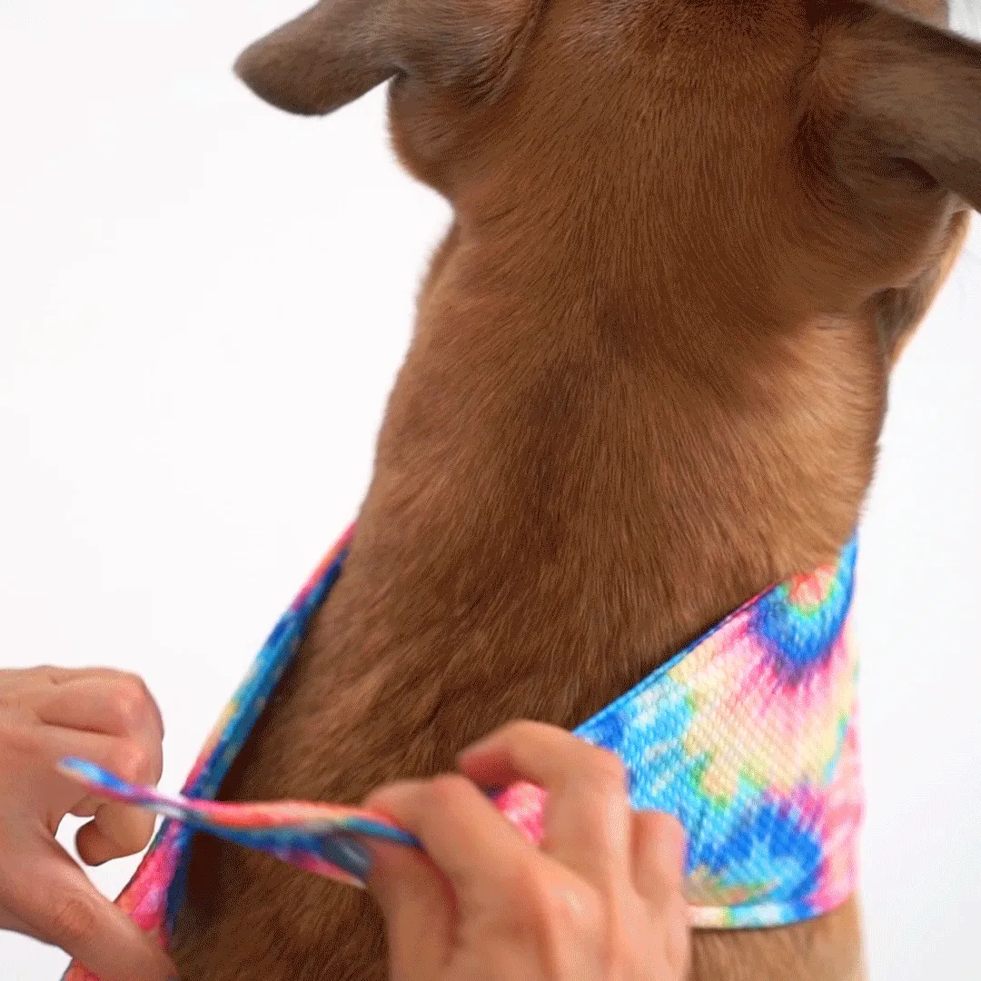 Cooling Bandana