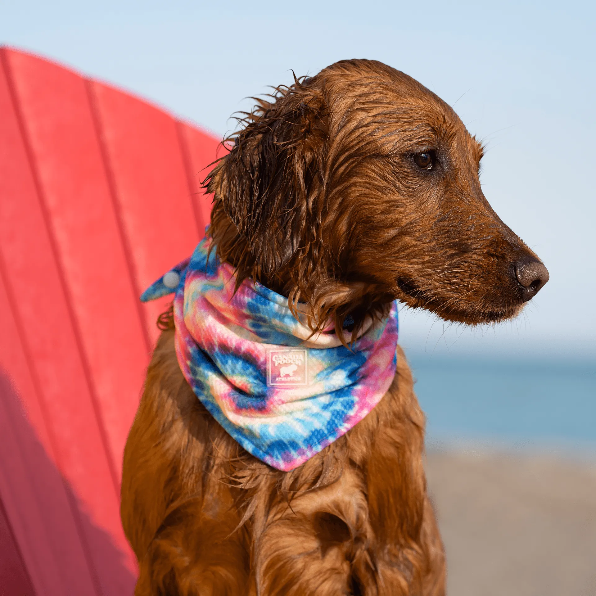 Cooling Bandana