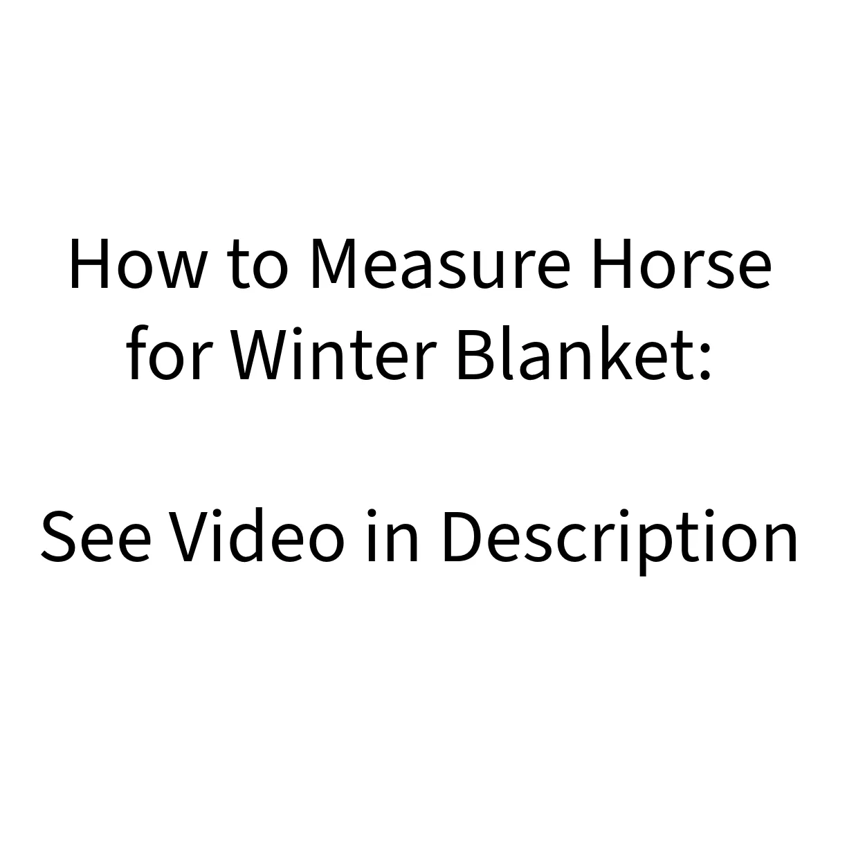 Derby Originals Nordic-Tough 1200D All Season Reflective Waterproof Mini Horse Pony Turnout Sheet with 2 Year Warranty