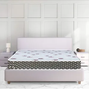 HOUSERIGHT Furniture Single Size HR Bonded Foam Orthopedic Mattress for Extra Back Support | Comfort Mattress High Density Foam- Medium Soft & Hard | Blue