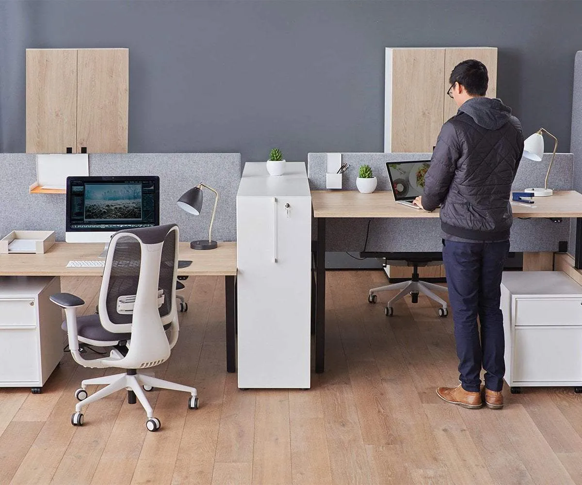 Jensen Double Sit Stand Desk with Reversible Panel