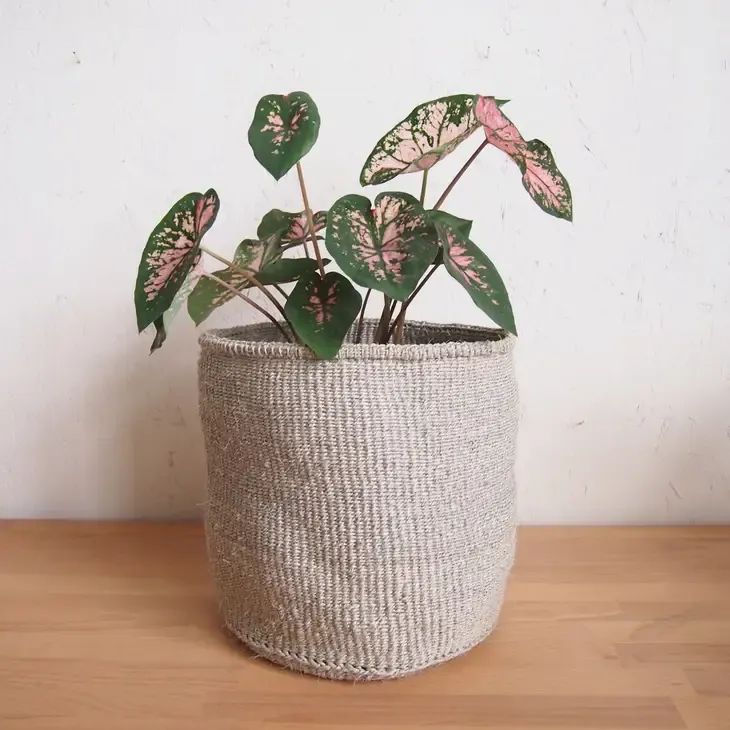 L Planter Basket