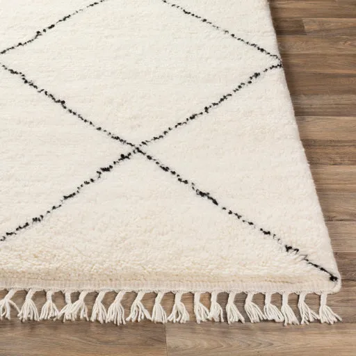 Meknes Rugs