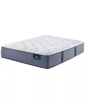 Perfect Sleeper Renewed Night Plush Mattress