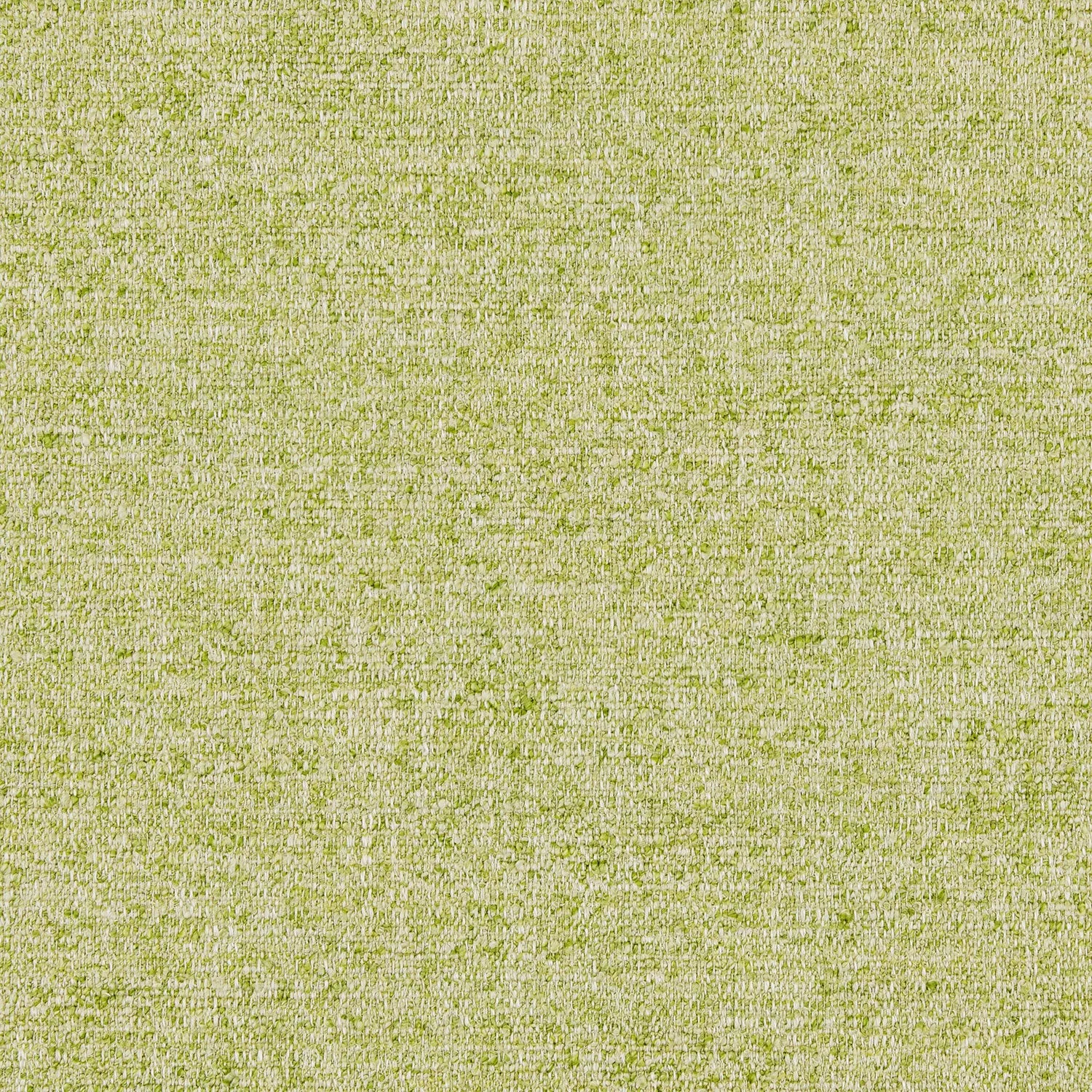 Tanaro Lime