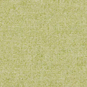 Tanaro Lime