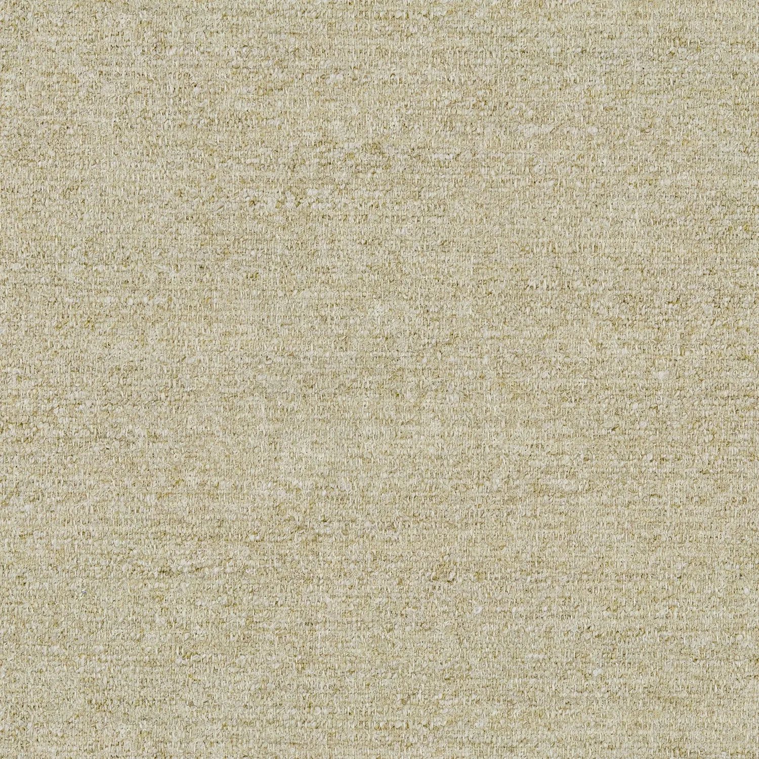 Tanaro Seashell