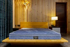 The Mattress Company | 5 Years Warranty | Bonded   Soft Foam Queen Size Bed Mattress, Comfort 6 Inch Thickness (75X66X6)
