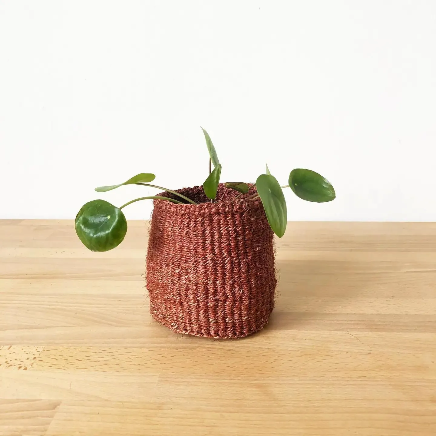 XS Planter Basket